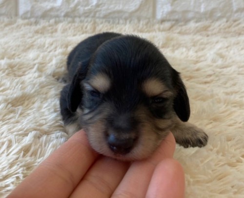 2022-02-26 16.26.35-4