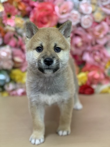 写真 2022-02-24 15 26 34 (1)