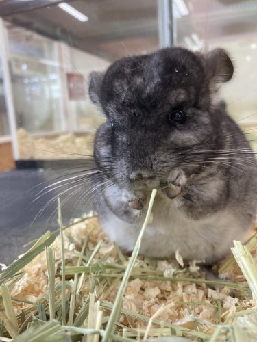 写真 2022-02-20 10 20 08