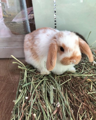 写真 2022-02-09 13 13 29 (3)