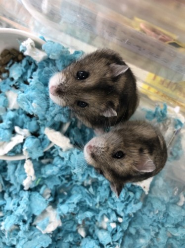 写真 2022-02-01 12 45 05 (3)