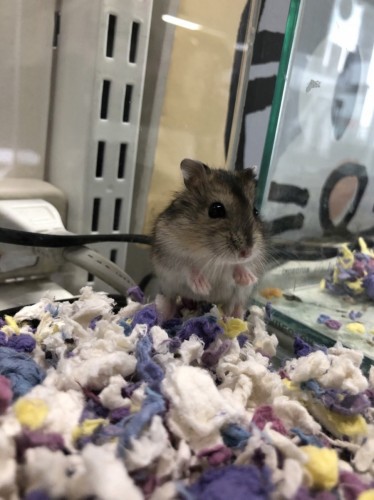 写真 2022-02-01 12 45 04