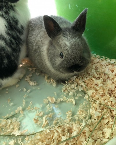 写真 2022-02-09 13 13 29 (1)