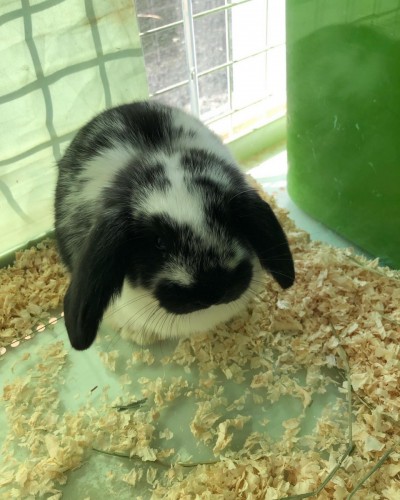 写真 2022-02-09 13 13 29 (2)