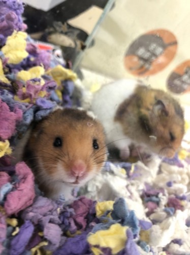 写真 2022-02-01 12 45 05