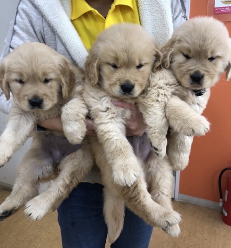 写真 2022-02-04 14 18 53