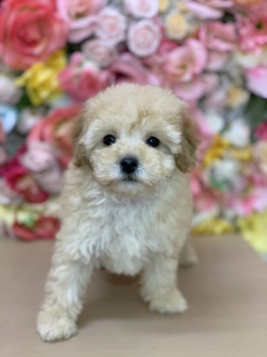 写真 2022-02-24 15 27 21