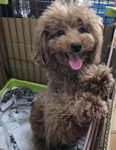 写真 2022-03-09 11 18 15 (1)