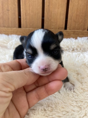 写真 2022-03-24 13 19 25