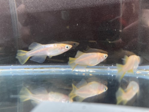 写真 2022-03-25 17 49 29