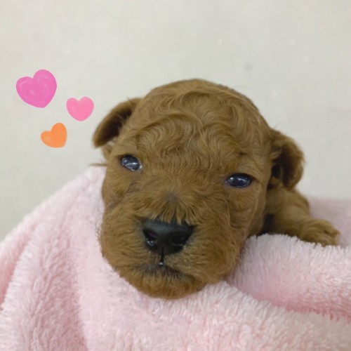 3F071EA3-DAFE-4EB6-BA4E-4ED46D4307AA