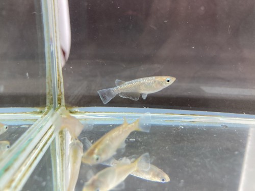 写真 2022-03-25 18 09 16