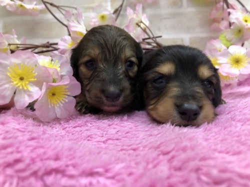 写真 2022-03-06 10 42 46