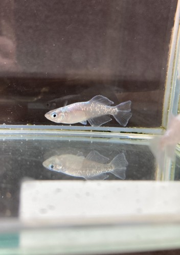 写真 2022-03-24 17 29 14