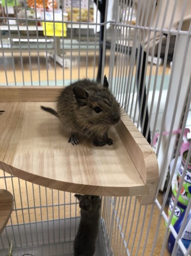 写真 2022-03-30 15 11 22 (1)