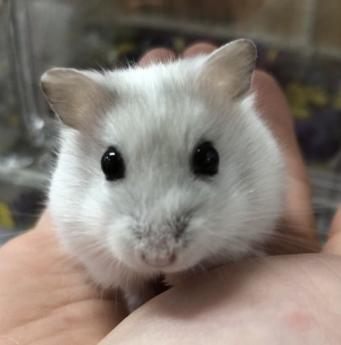 写真 2022-03-12 11 11 56 (1)