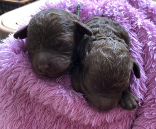 写真 2022-03-09 11 18 15