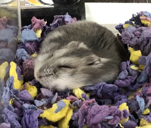 写真 2022-03-12 11 11 56 (2)