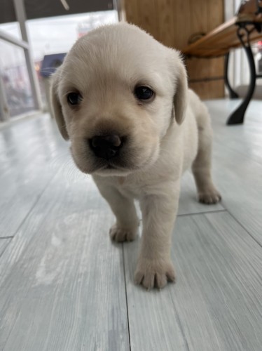 0C715F05-051C-4958-B5C4-70A1E95AA80C