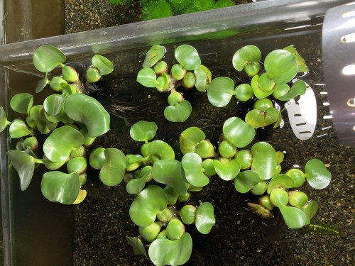 1363B247-7772-4812-9D4A-CE887BABA595