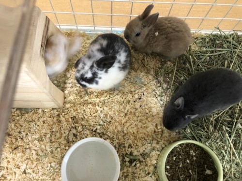 2022-04-14 13.30.59-2