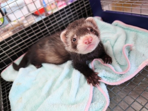 20220407_130912~2[1]