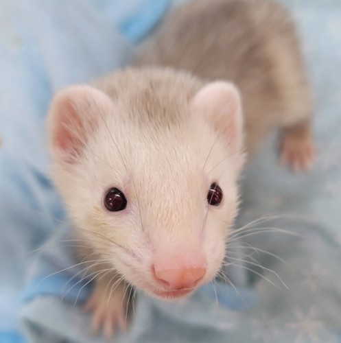 写真 2022-04-19 18 35 22 (1)