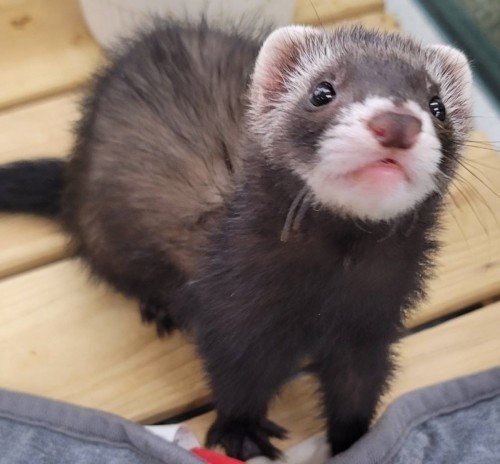 写真 2022-04-19 18 35 22 (2)