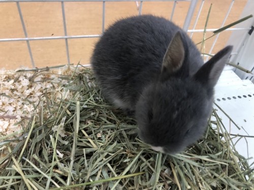 写真 2022-04-14 13 27 06 (1)