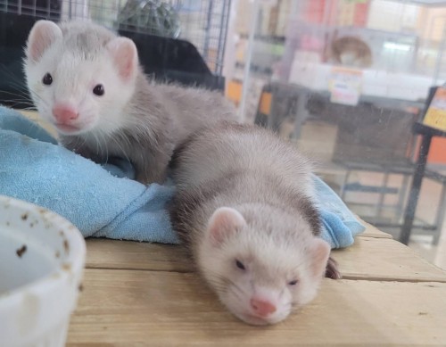 写真 2022-04-19 18 35 22 (4)