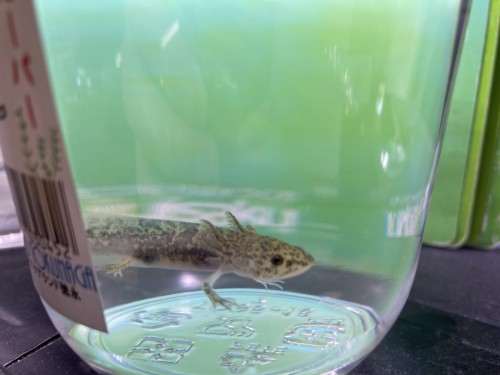 6E0731D8-1E45-4151-842F-FF5A67938FD9