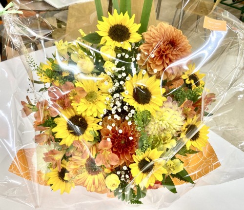 写真 2022-04-16 18 21 03