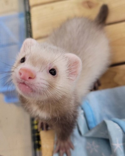 写真 2022-04-19 18 35 22