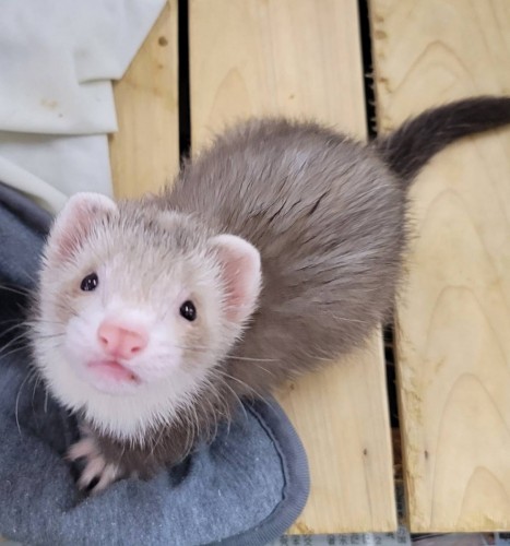 写真 2022-04-19 18 35 22 (3)