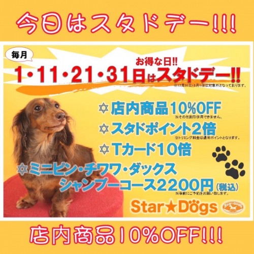 写真 2022-04-11 8 04 14