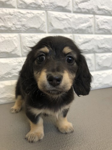 写真 2022-04-12 16 47 47 (1)