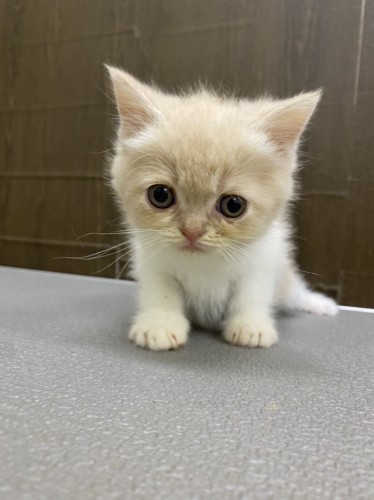 写真 2022-05-26 14 30 14 (2)