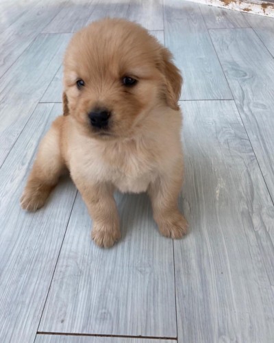 写真 2022-05-05 12 03 26 (1)