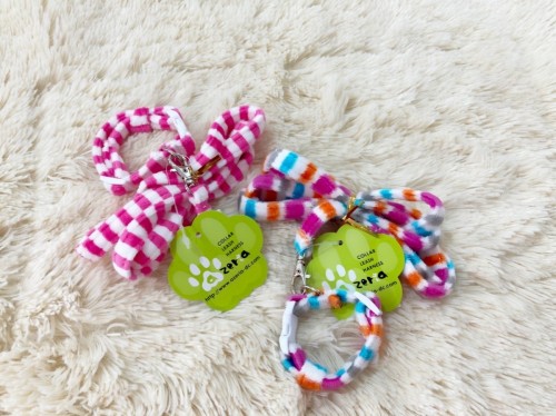 写真 2022-05-14 13 54 23