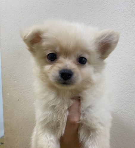 写真 2022-05-03 14 18 33 (1)