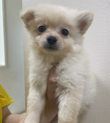 写真 2022-05-03 14 18 36 (1)