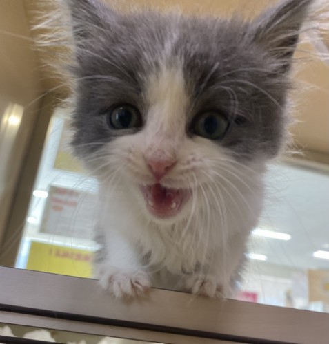 写真 2022-05-03 14 15 31 (1)