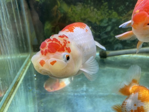 写真 2022-05-05 12 21 25