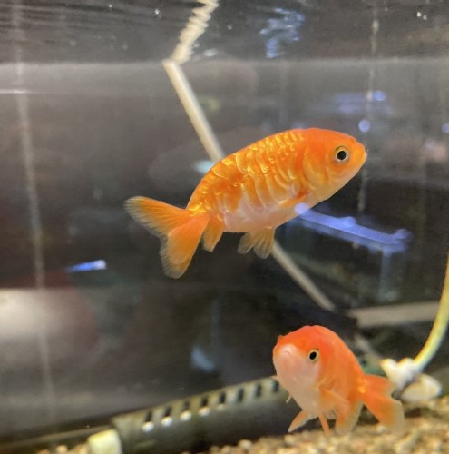 写真 2022-05-05 12 16 35