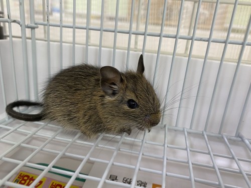 写真 2022-05-11 12 55 18 (1)