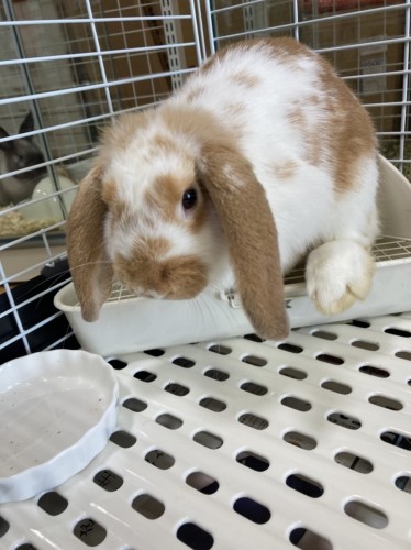 写真 2022-05-17 11 25 22 (1)