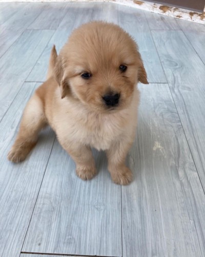 写真 2022-05-05 12 03 26 (2)