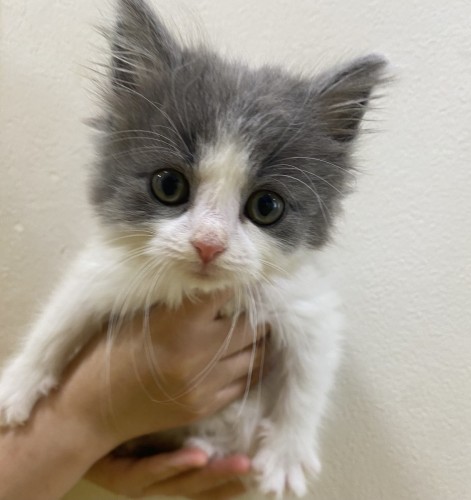 写真 2022-05-03 14 17 21 (1)