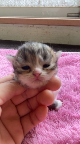 写真 2022-06-01 11 19 42