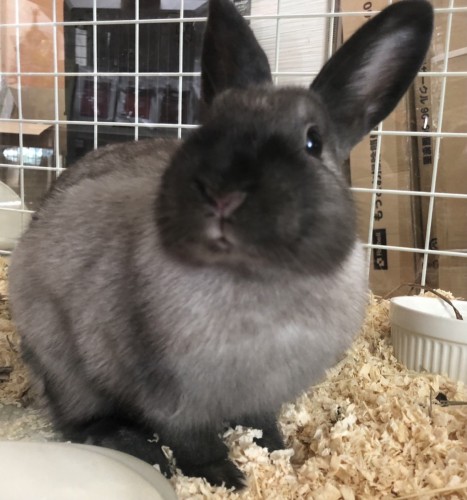 写真 2022-06-10 12 09 59